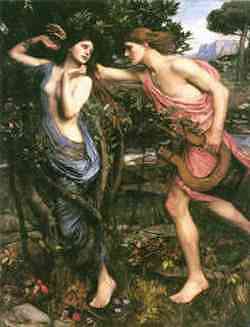 Apollo e Dafne - quadro di Waterhouse