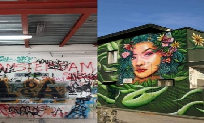 non chiamiamola arte dipinti contro graffiti