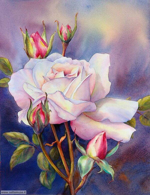 vasi di fiori Marianne Broome 2