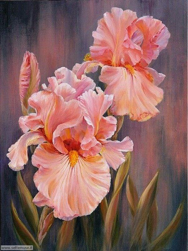 vasi di fiori Marianne Broome