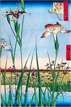 Biografia e opere di Ando Hiroshige