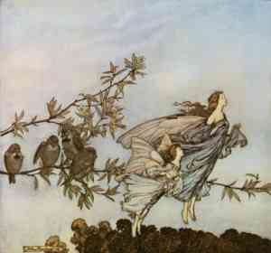 Rackham Arthur illustratore di fiabe, favole