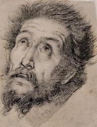 Illustrazione di Bernardo Strozzi