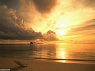 Foto desktop di albe e tramonti