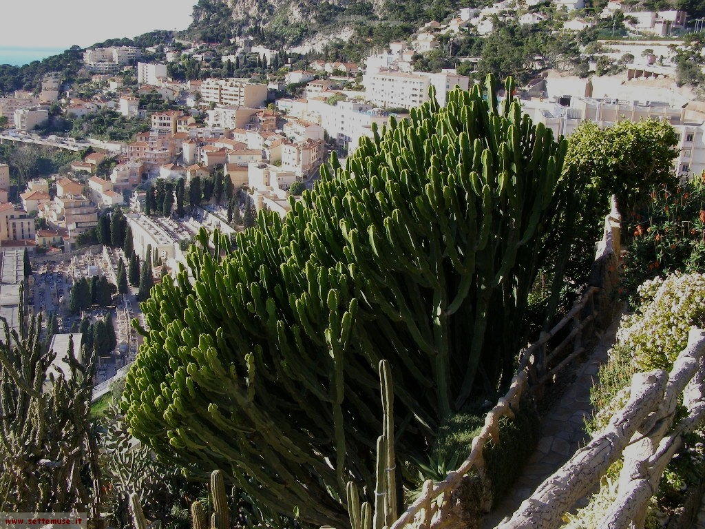 foto Monaco giardini esotici