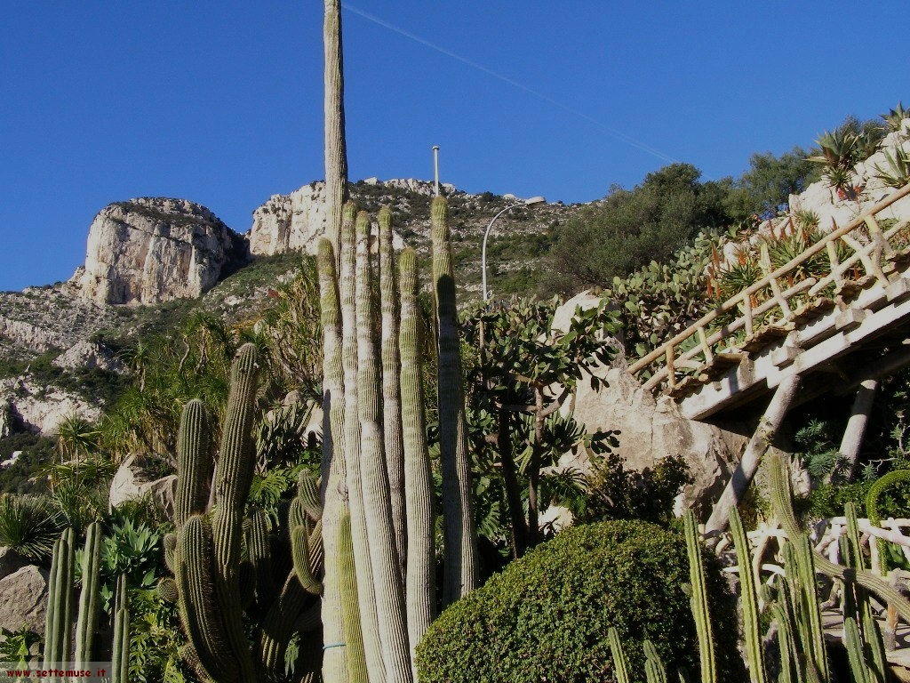 foto Monaco giardini esotici