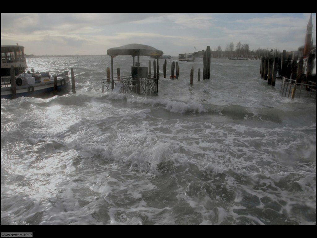 venezia acqua alta 011